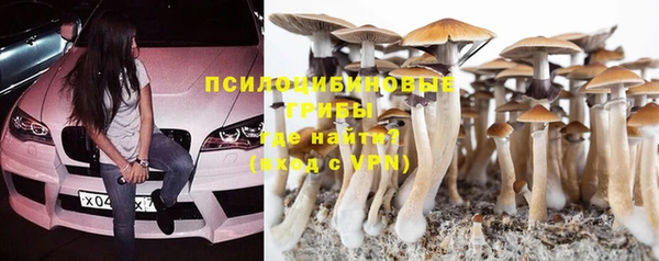 бутират Чегем