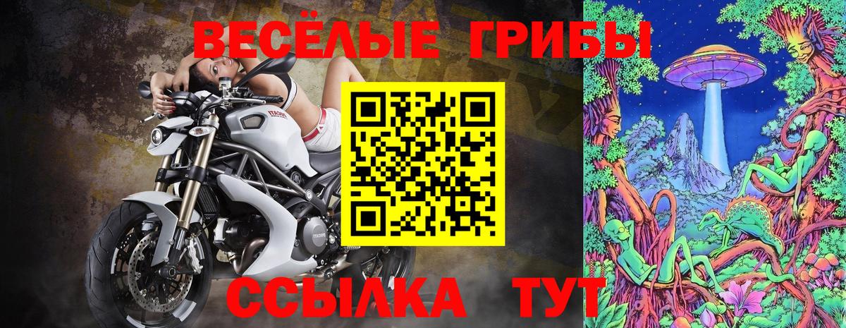 Галлюциногенные грибы Psilocybine cubensis Электросталь
