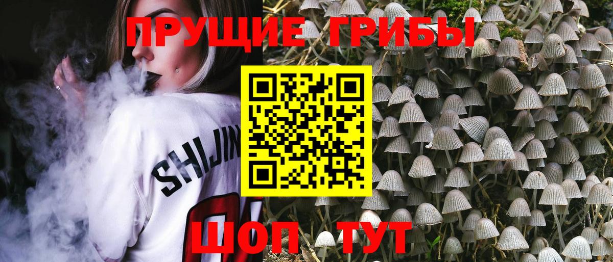 Псилоцибиновые грибы прущие грибы  Электросталь 