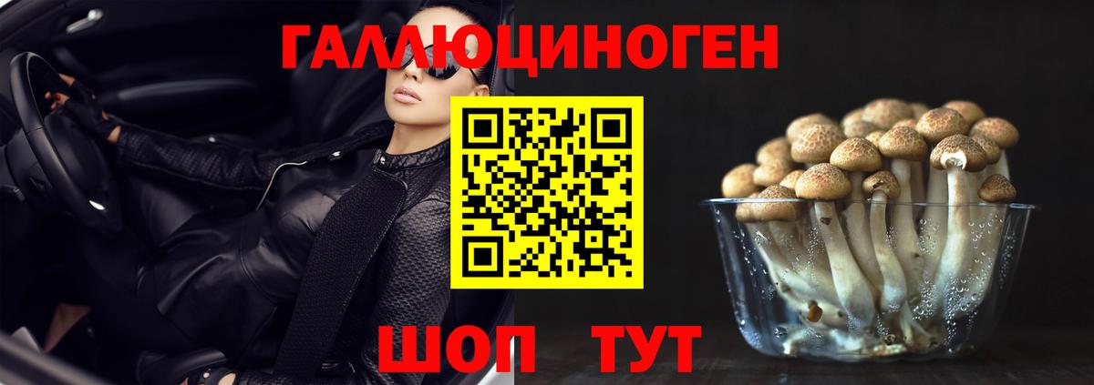 Электросталь  Галлюциногенные грибы Magic Shrooms  Галлюциногенные грибы Psilocybine cubensis  цена наркотик  Вход с VPN 